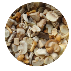 Mix de Hongos IQF x500g (Biomac)