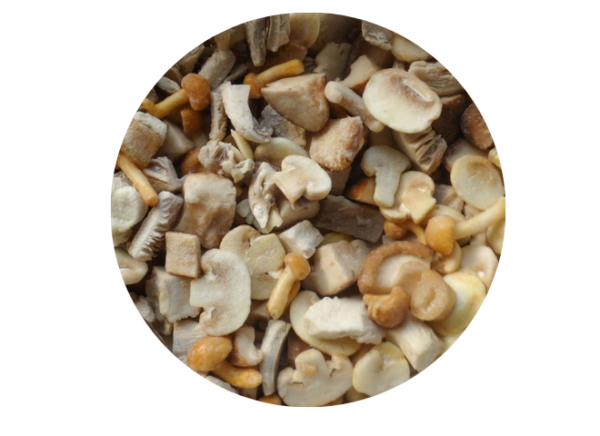 Mix de Hongos IQF x500g (Biomac)